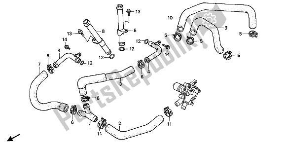 All parts for the Water Pipe of the Honda XL 600 1988