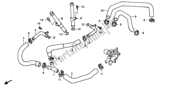 All parts for the Water Pipe of the Honda XL 600 1988