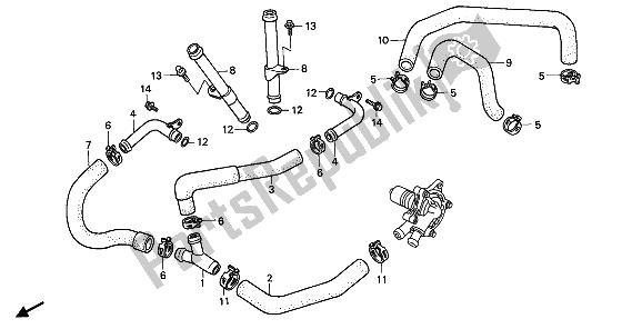 All parts for the Water Pipe of the Honda XL 600V Transalp 1992