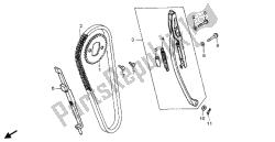 cadena de levas y tensor