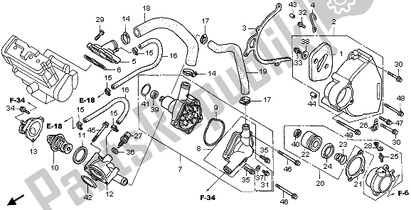 Todas las partes para Bomba De Agua de Honda CBR 1100 XX 2006