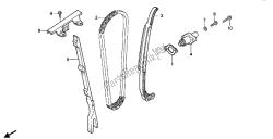 CAM CHAIN & TENSIONER