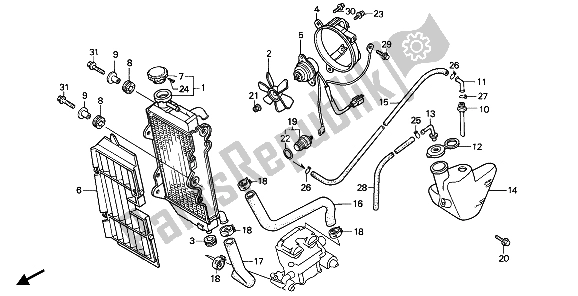 Tutte le parti per il Termosifone del Honda NX 250 1990