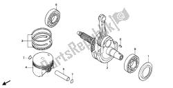 PISTON & CRANKSHAFT