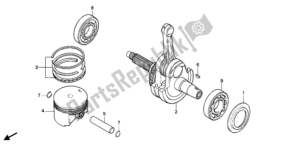 All parts for the Piston & Crankshaft of the Honda NX 650 1990