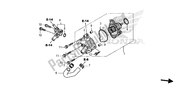 Todas las partes para Bomba De Agua de Honda SH 125D 2013