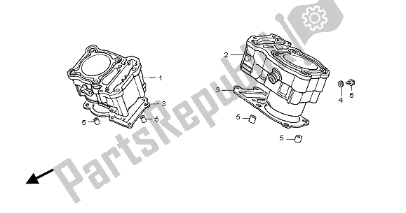 All parts for the Cylinder of the Honda NT 650V 2001