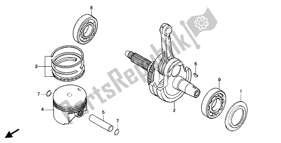 Tutte le parti per il Pistone E Albero Motore del Honda NX 650 1991