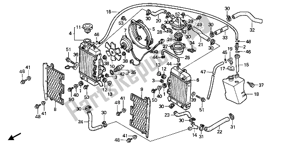 All parts for the Radiator of the Honda XRV 650 Africa Twin 1988