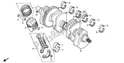 CRANKSHAFT & PISTON