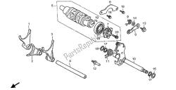 tambour de changement de vitesse