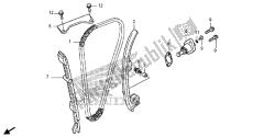 CAM CHAIN & TENSIONER