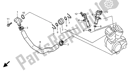 All parts for the Water Pipe of the Honda VT 750C 1999