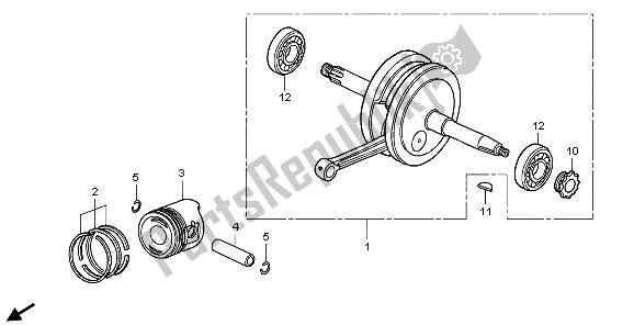 All parts for the Crankshaft & Piston of the Honda CRF 50F 2006