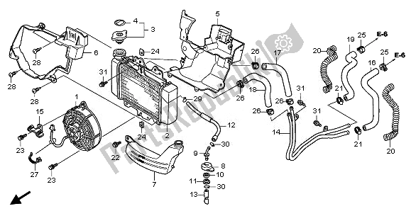 All parts for the Radiator of the Honda SH 125 2011