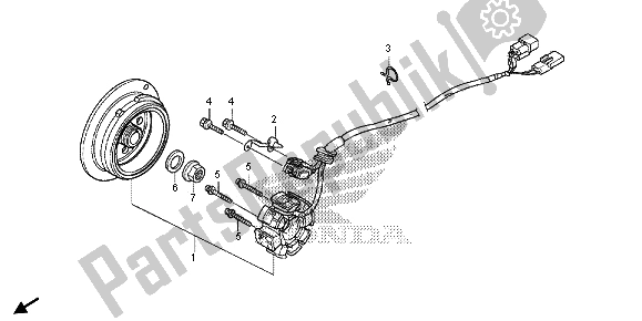 Tutte le parti per il Generatore del Honda CRF 250X 2013