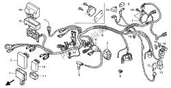 WIRE HARNESS