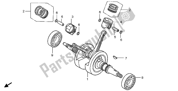 All parts for the Crankshaft & Piston of the Honda XL 125V 2009