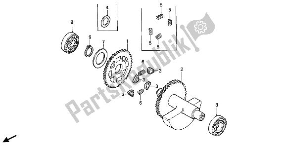 All parts for the Balancer of the Honda XBR 500 1986