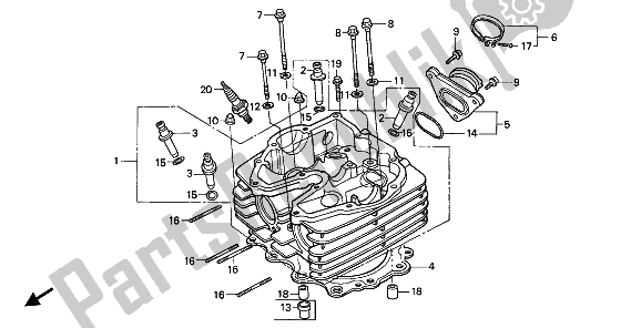 All parts for the Cylinder Head of the Honda NX 650 1993