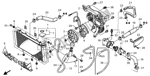 All parts for the Radiator of the Honda TRX 700 XX 2009