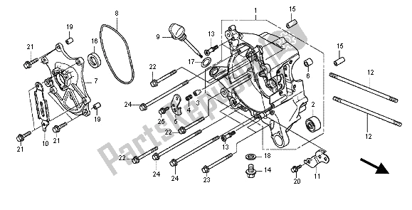 All parts for the Right Crankcase of the Honda WW 125 EX2 2012