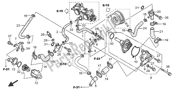 All parts for the Water Pump of the Honda FJS 600D 2005