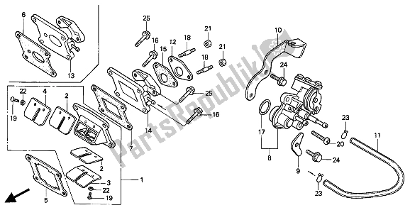 All parts for the Oil Pump of the Honda NSR 50S 1994