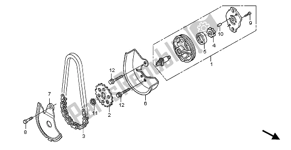 All parts for the Oil Pump of the Honda SH 150 2009