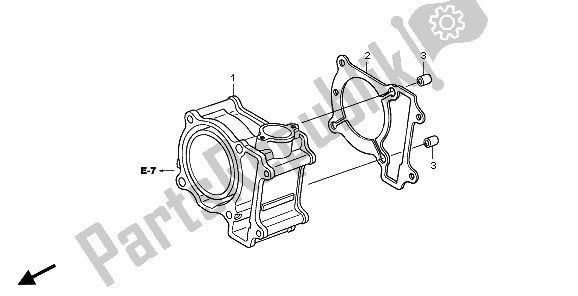 All parts for the Cylinder of the Honda SH 125S 2007