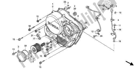 All parts for the Right Crankcase Cover of the Honda NX 650 1991