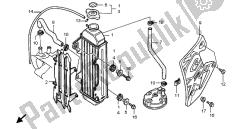 termosifone