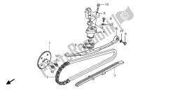 cadena de levas y tensor