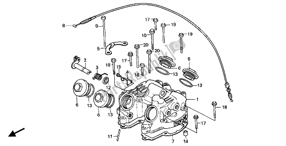 Todas las partes para Cubierta De Tapa De Cilindro de Honda XR 600R 1991