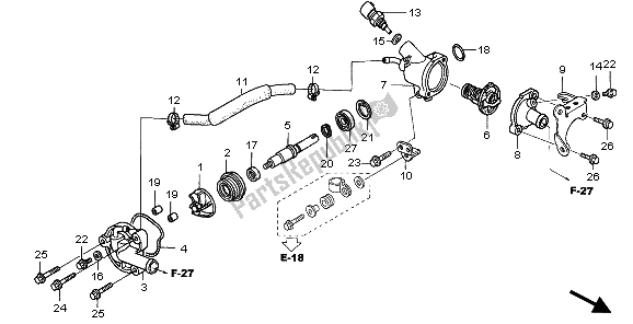 All parts for the Water Pump of the Honda SH 125 2007