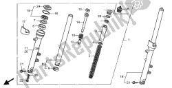 forcella anteriore