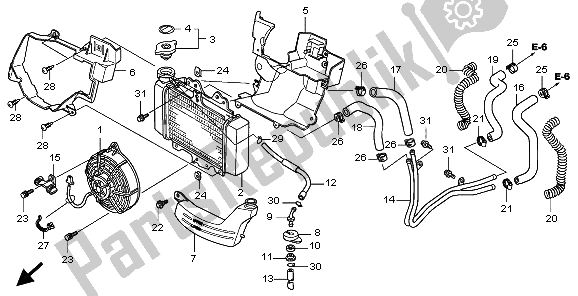 All parts for the Radiator of the Honda SH 125D 2009