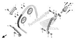 CAM CHAIN & TENSIONER