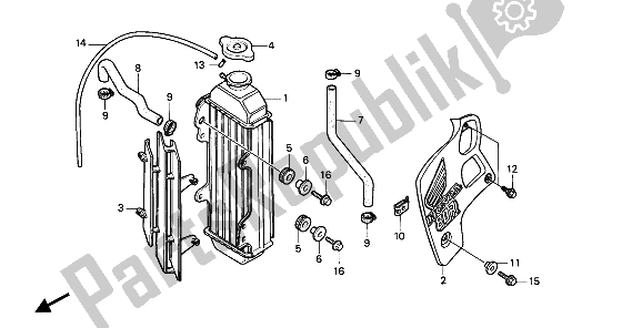 All parts for the Radiator of the Honda CR 80R 1988