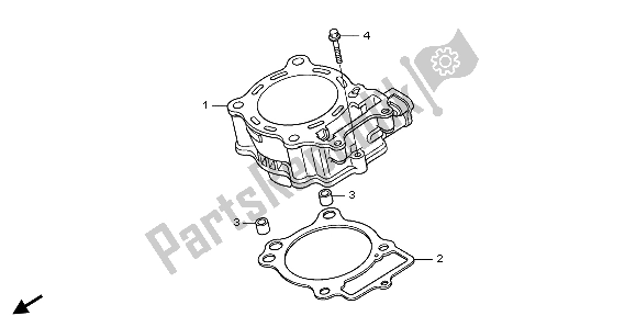 All parts for the Cylinder of the Honda CRF 150 RB LW 2007