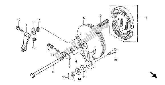 All parts for the Rear Brake Panel of the Honda ANF 125 2009