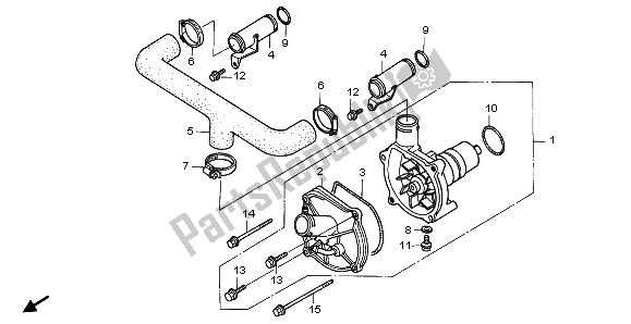 All parts for the Water Pump of the Honda GL 1500A 1996
