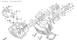 Cylinder - Cylinder head