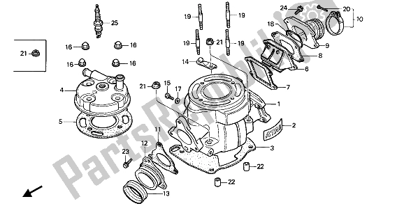 All parts for the Cylinder & Cylinder Head of the Honda CR 80R 1989