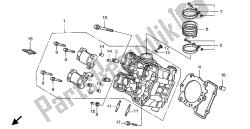 testata (anteriore)