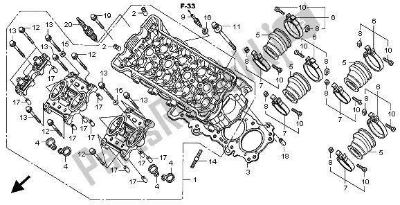 All parts for the Cylinder Head of the Honda CB 600F3A Hornet 2009