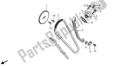 CAM CHAIN & TENSIONER