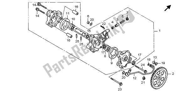 Tutte le parti per il Pompa Dell'olio del Honda NX 650 1995