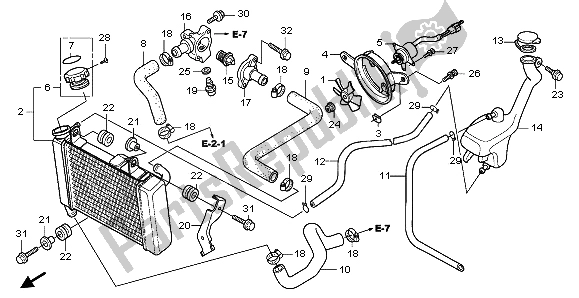 Alle onderdelen voor de Radiator van de Honda CBR 125 RW 2009