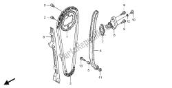 CAM CHAIN & TENSIONER